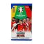 UEFA Euro 2024 Almanya Match Attax Trading Kart