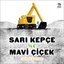 Sarı Kepçe İle Mavi Çiçek