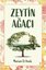 Zeytin Ağacı