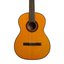 Takamine GC1 NAT Klasik Gitar