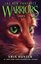 DAWN (Warriors: The New Prophecy)