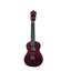 Aria ACU1 Concert Ukulele