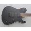 Fujigen Iliad Elektro Gitar JIL3ASHDE664R/OPB