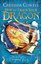 How to Train Your Dragon: How to Fight a Dragon's Fury : Book 12