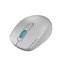 Everest SMW-87 2.4 Ghz Kablosuz Mouse, Gri