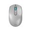 Everest SMW-87 2.4 Ghz Kablosuz Mouse, Gri