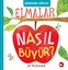 Merhaba Dünya! Elmalar Nasıl Büyür?