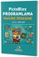 PictoBlox Programlama Makine Öğrenimi
