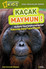 National Geographic Kids - Kısa Hikayeler Serisi Kaçak Maymun!