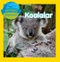 National Geographic Kids - Dünyanızı Keşfedin Koalalar