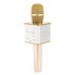 Doppler Hoparlörlü Karaoke Mikrofonu White KTV-200 Doppler Hoparlörlü Karaoke Mikrofonu White KTV-200