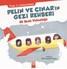 Pelin ve Çınar'ın Gezi Rehberi-İlk Uçak Yolculuğu